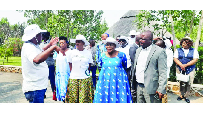 Zimbabwe National Industrial Development