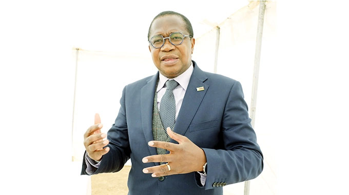 Finance, Economic Development and Investment Promotion Minister Mthuli Ncube