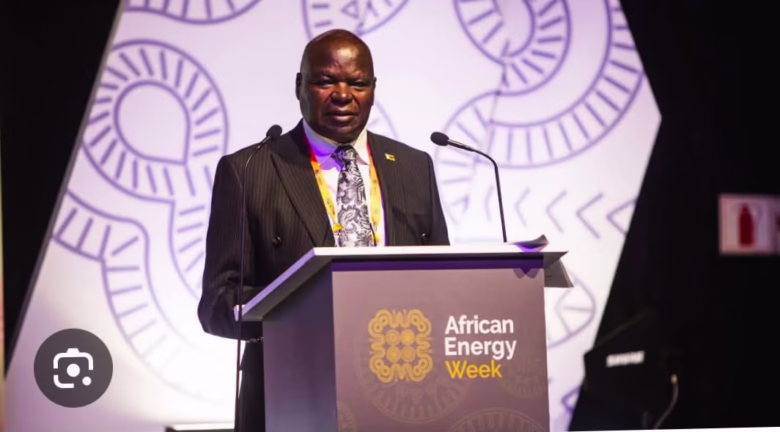 Minister of Energy and Power Development Honourable July Moyo
